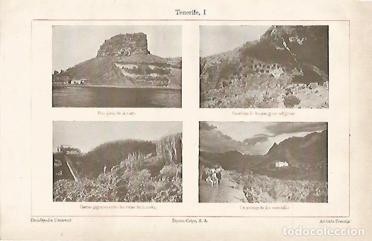 Cartoline: LAMINA ESPASA 2744: Vistas de Tenerife - Varios Autores