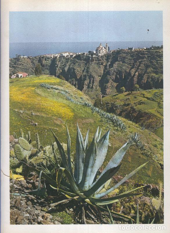 Postales: Gran Canaria: Lamina 32: Villa de Moya - Varios