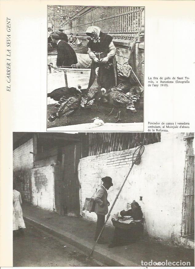 Postais: LAMINA 20761: Feria de Gallos en Barcelona y pescado en Montjuic - Edmon Valles