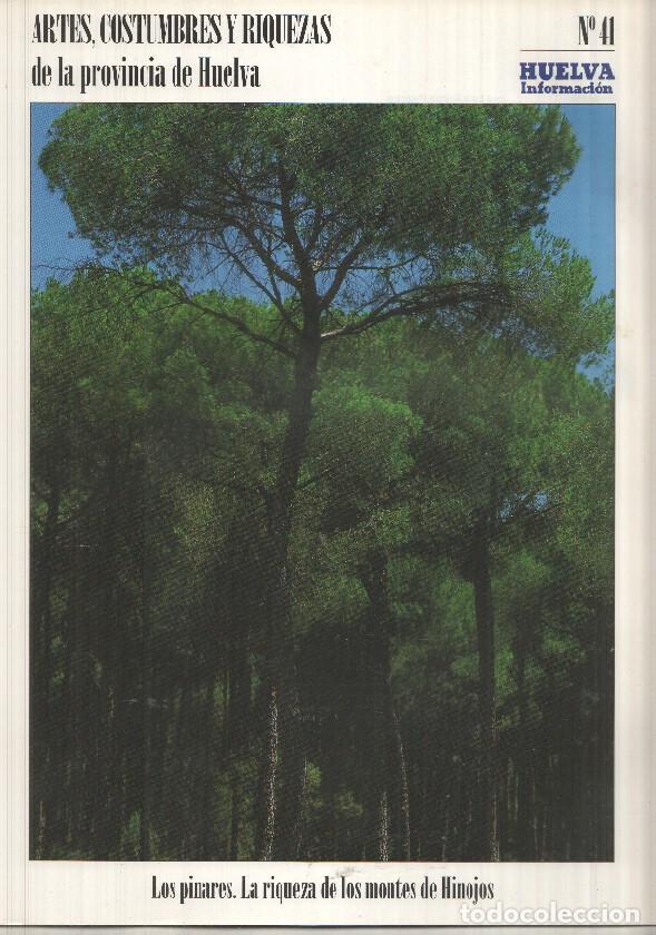 Postales: Artes, Costumbres y Riquezas de la provincia de Huelva numero 41: Los pinares, La riqueza de los mon