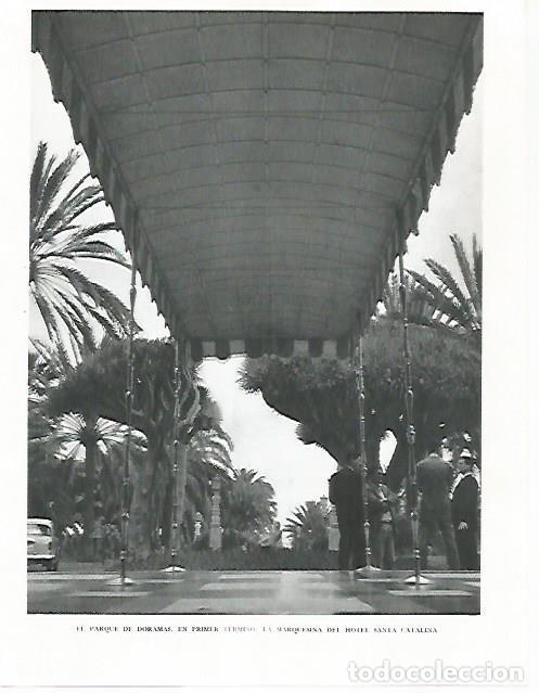 Cartoline: LAMINA 10223: Parque de Doramas - Claudio de la Torre