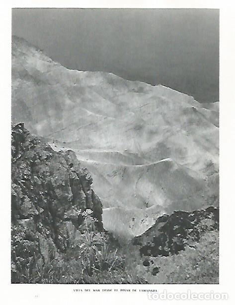 Cartes Postales: LAMINA 10286: Pinar de Tamadaba - Claudio de la Torre