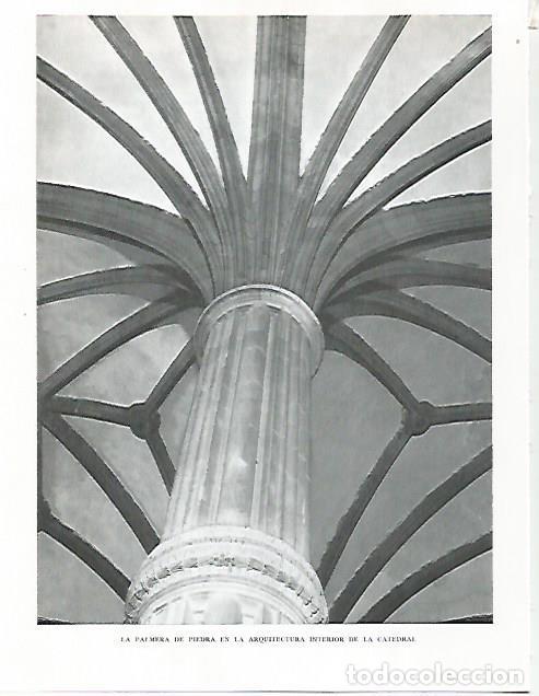 Postais: LAMINA 10252: Palmera de piedra de la Catedral de Las Palmas - Claudio de la Torre