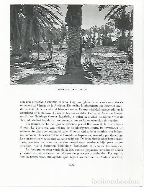 Postais: LAMINA 10365: Palmeral de Gran Tarajal - Claudio de la Torre