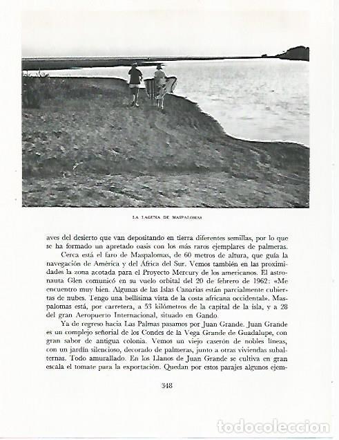 Postcards: LAMINA 10349: Laguna de Maspalomas - Claudio de la Torre