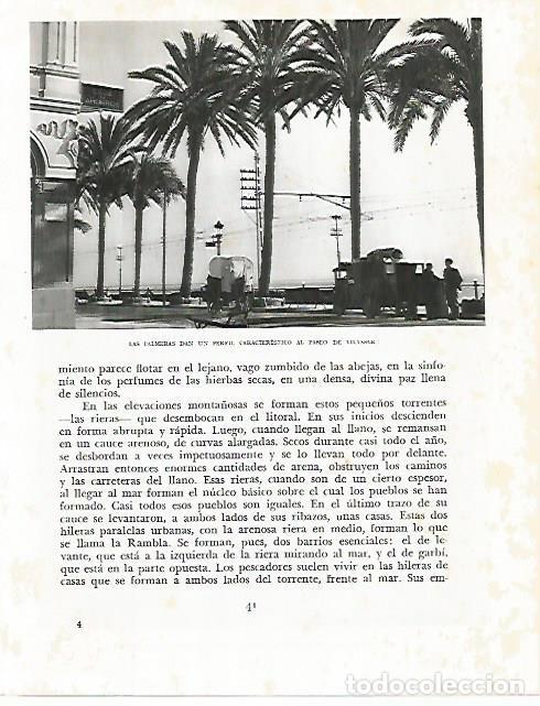 Postkarten: LAMINA 10439: Palmeras de Vilassar de Mar - Josep Pla