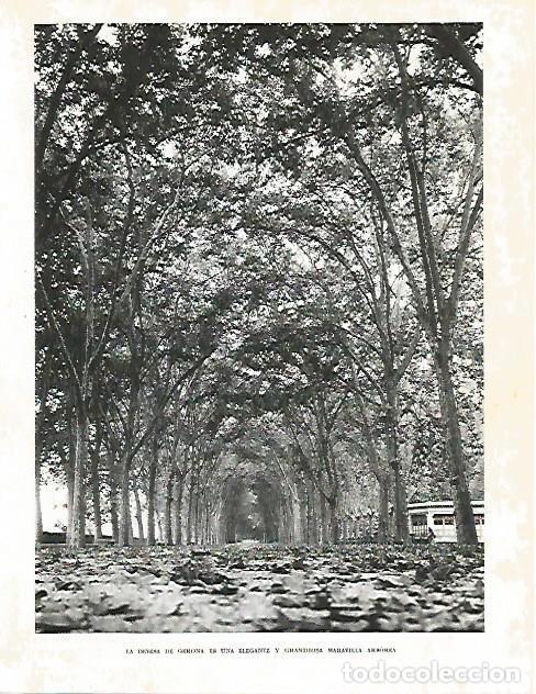 Cartoline: LAMINA 10459: La Devesa de Girona - Josep Pla