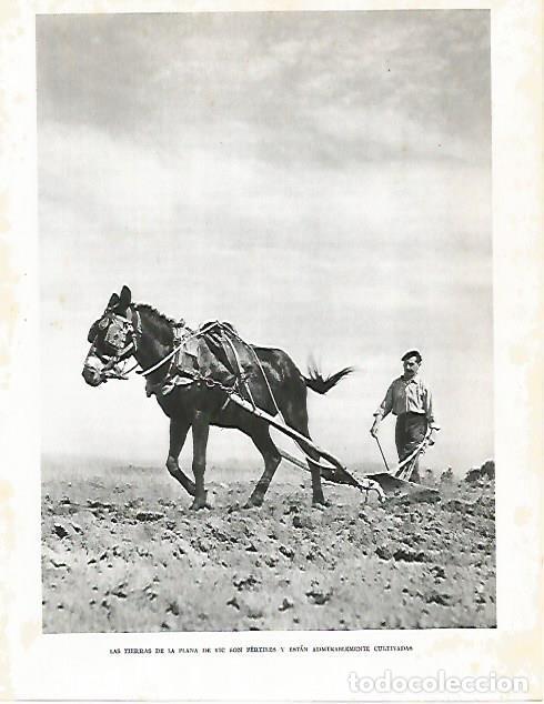 Postcards: LAMINA 10487: Plana de Vic - Josep Pla