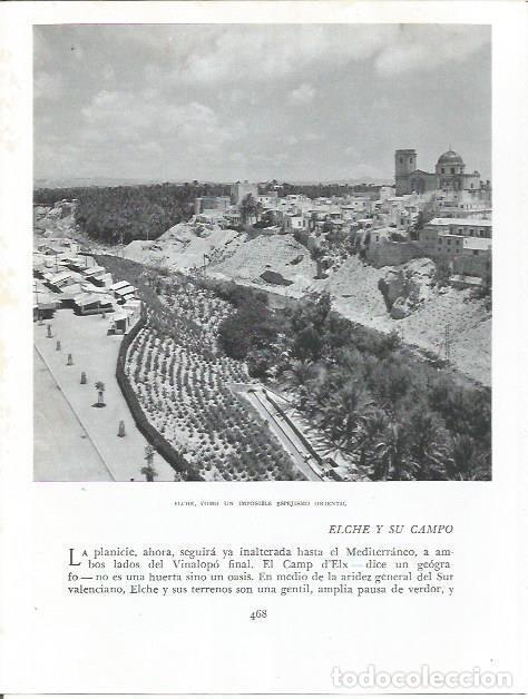Postcards: LAMINA 21980: Vista de Elche - Joan Fuster