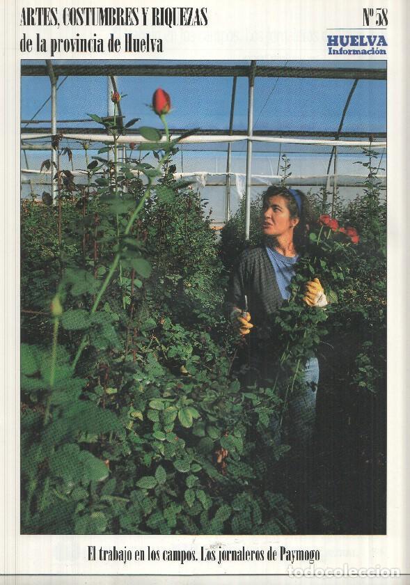 Postcards: Artes, Costumbres y Riquezas de la provincia de Huelva numero 58: El trabajo en los campos, Los jorn