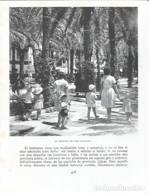 Postales: LAMINA 21958: Paseo en Alicante - Joan Fuster