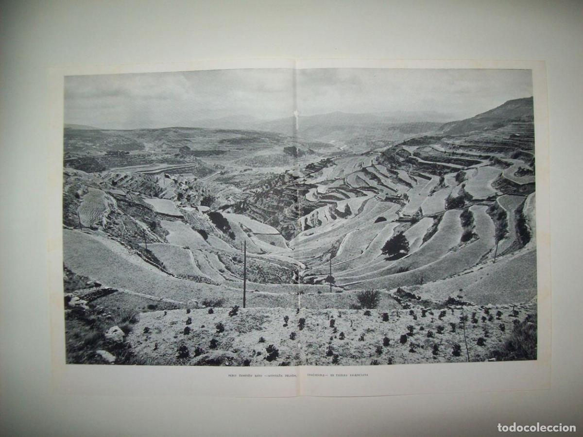 Cartoline: LAMINA 21774: Valle en Valencia - Joan Fuster