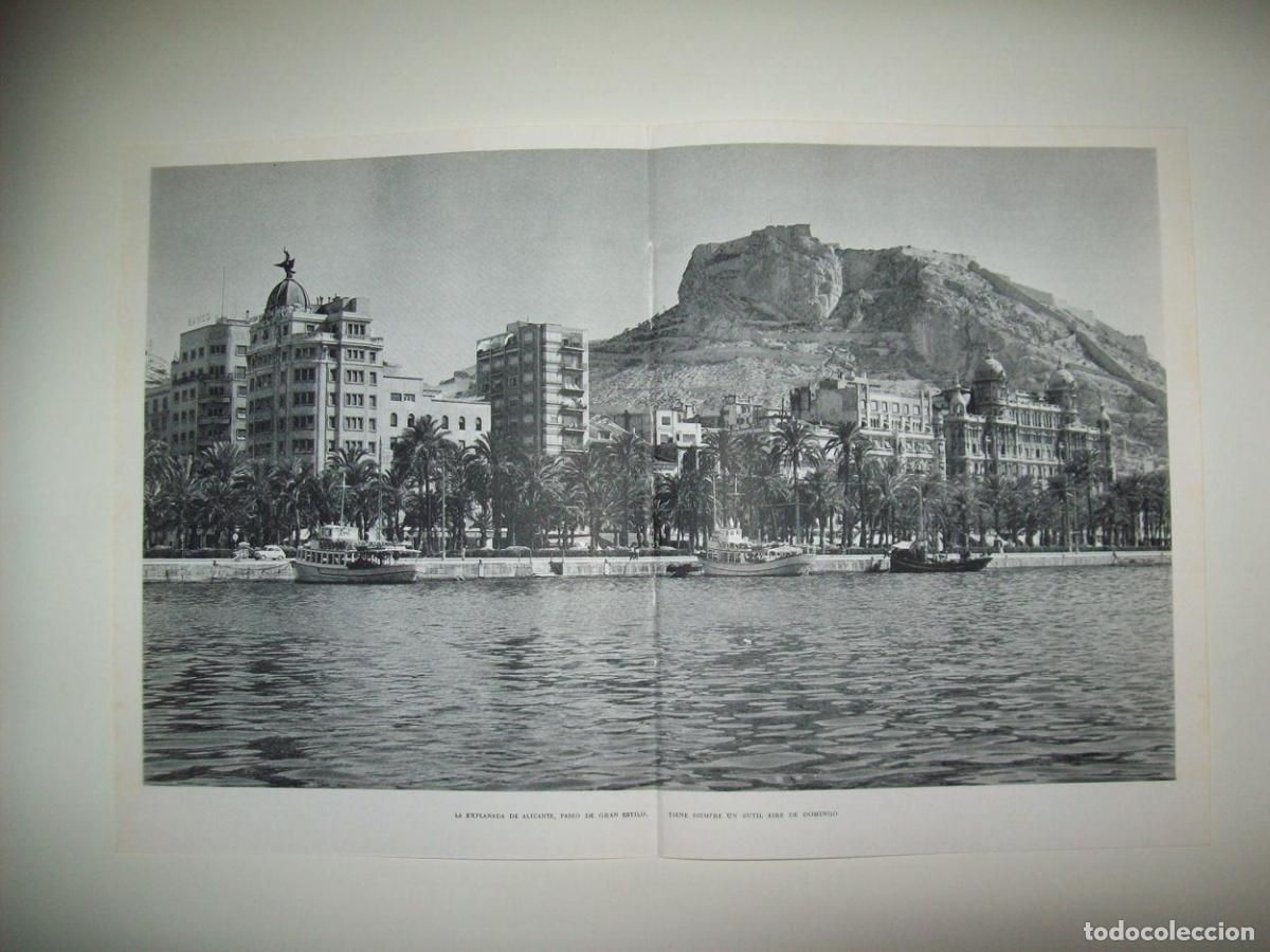 Postkarten: LAMINA 21960: La Esplanada de Alicante - Joan Fuster