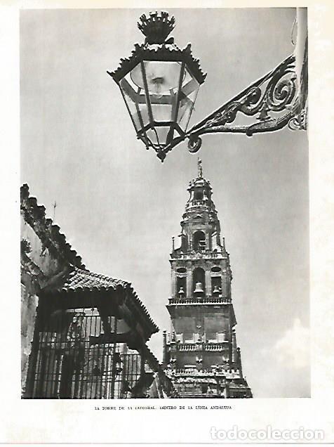 Postkarten: LAMINA 10767: Torre de la Catedral de Cordoba - Jose Maria Peman. Fotografias de Ramon Dimas