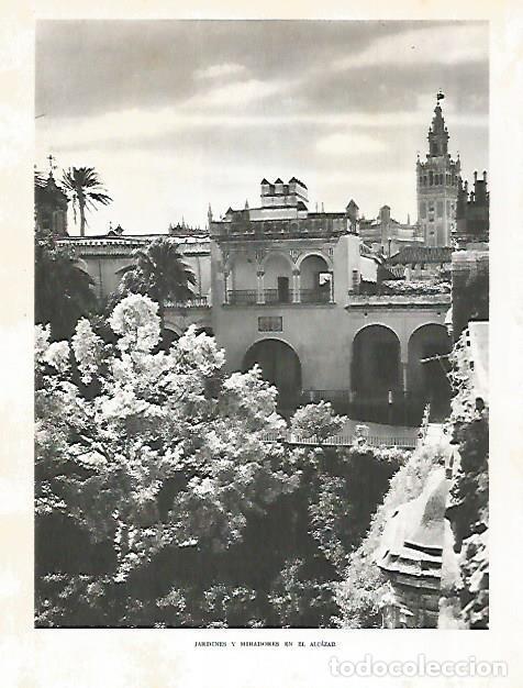 Postcards: LAMINA 10734: Jardines del Alcazar de Sevilla - Jose Maria Peman. Fotografias de Ramon Dimas