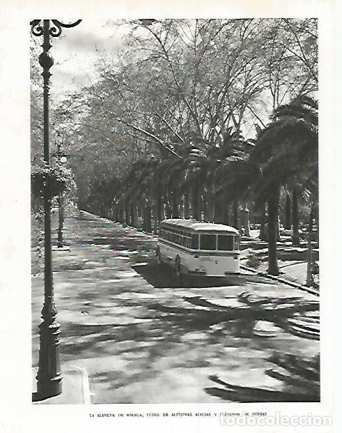 Postais: LAMINA 10844: La Alameda de Malaga - Jose Maria Peman. Fotografias de Ramon Dimas