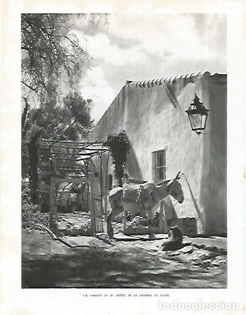 Postcards: LAMINA 10832: Caserio en la Cantera de Conil - Jose Maria Peman. Fotografias de Ramon Dimas
