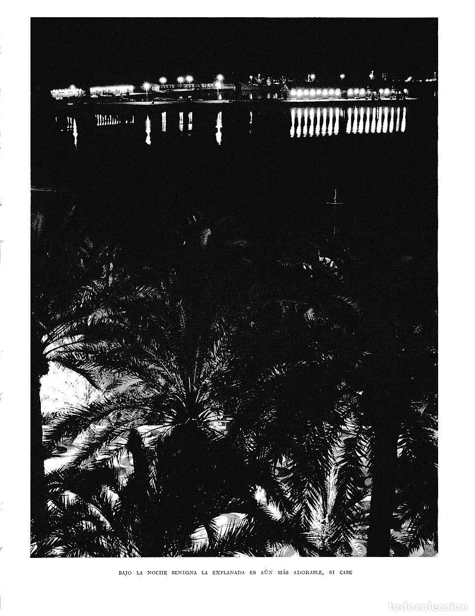Postkarten: LAMINA 6044: Noche entre palmeras de Alicante - Joan Fuster