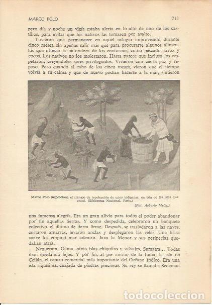 Cartoline: LAMINA 24330: Marco Polo supervisando la recoleccion - Carmi&ntilde;a Verdejo