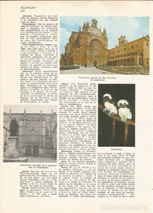 Cartes Postales: LAMINA 24787: Universidad e iglesia de San Esteban en Salamanca - VVAA
