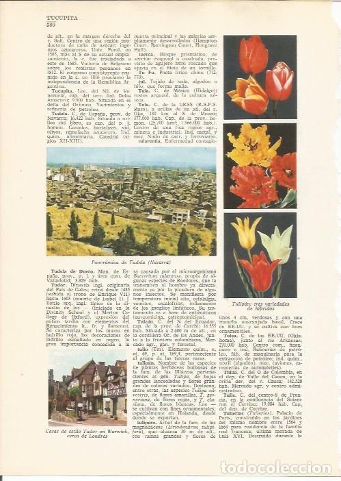 Postales: LAMINA 24844: Vista de Tudela y casas estilo Tudor en Warwick - VVAA