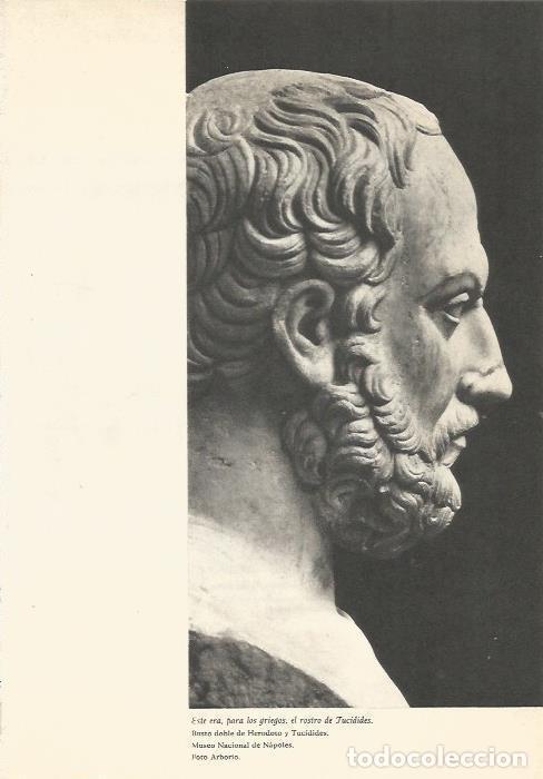 Cartes Postales: LAMINA 24686: Busto de Tucidides - Martin de Piquer