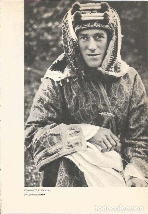 Cartes Postales: LAMINA 24643: Lawrence de Arabia - Martin de Piquer