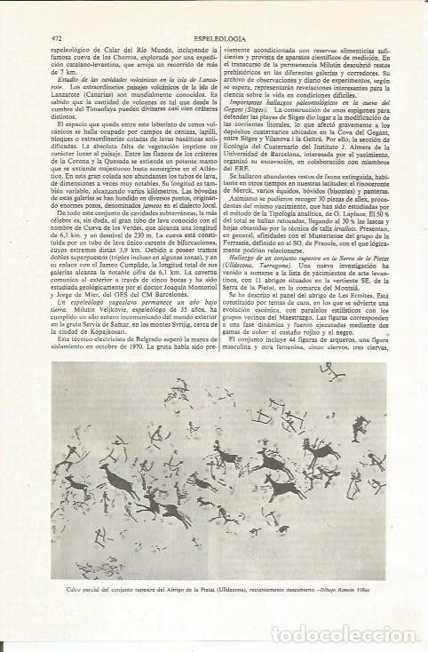 Cartoline: LAMINA ESPASA 36026: Calco parcial de las pinturas rupestres del Abric de la Pietat en Ulldecona, Ta