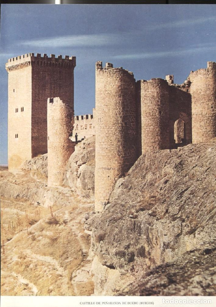 Postcards: Lamina Castillos de Espa&ntilde;a: Castillo de Pe&ntilde;aranda de Duero (Burgos) - Varios