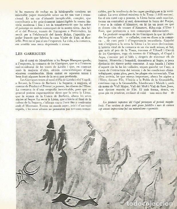 Postais: LAMINA 4392-35: Pinturas rupestres de El Cogull, Lleida - Josep Pla