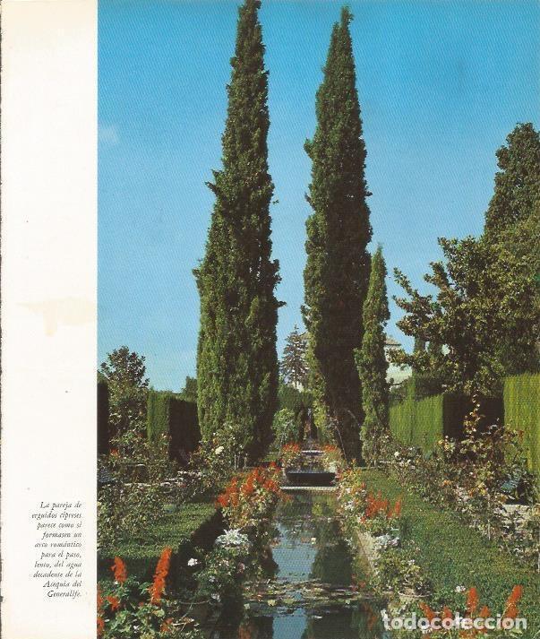 Cartes Postales: LAMINA 24900: Acequia del Generalife - VVAA