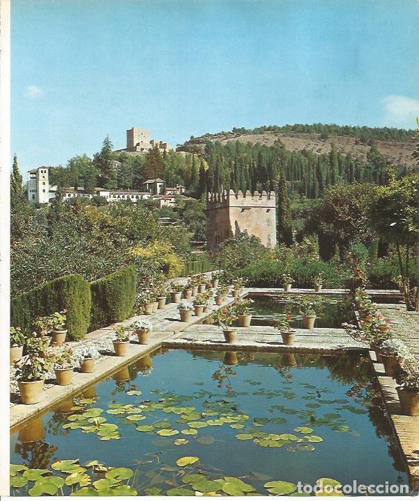 Postales: LAMINA 24891: Vista desde el Partal de la Alhambra - VVAA