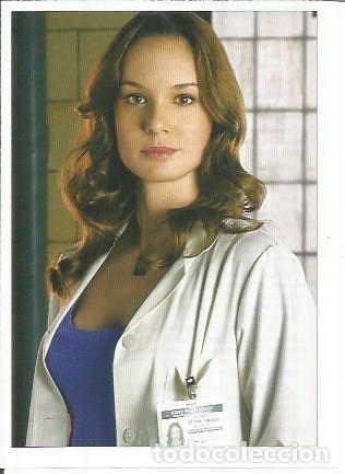 Postales: Miniposter 0934: Sarah Wayne Callies - Varios - Foto 1