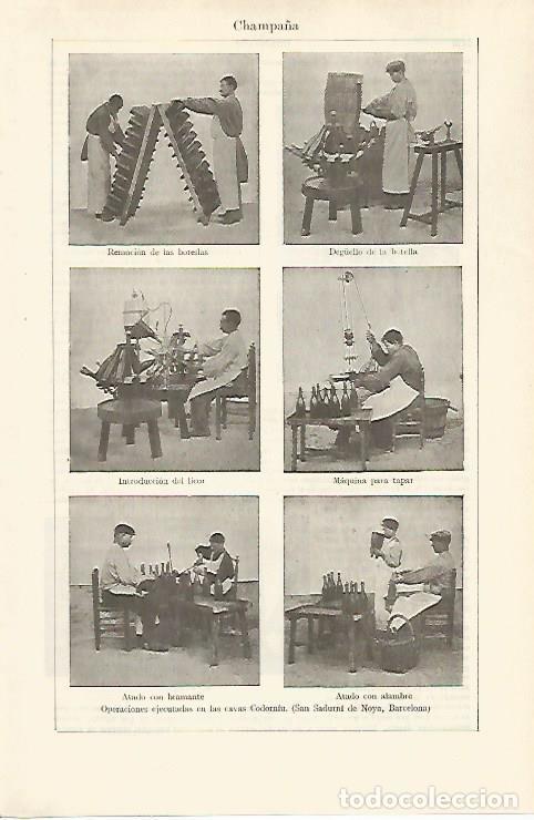 Cartoline: LAMINA ESPASA 29919: Elaboracion del cava en la Casa Codorniu - Varios