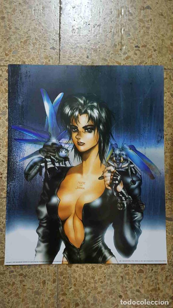 Postales: Poster manga: Masamune Shirow modelo 1 - Varios