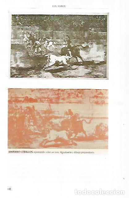 Postkarten: LAMINA COSSIO 51110: Mariano Ceballos rejoneando - Varios
