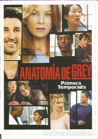 Postkarten: Miniposter 0288: Anatomia de Grey - Varios