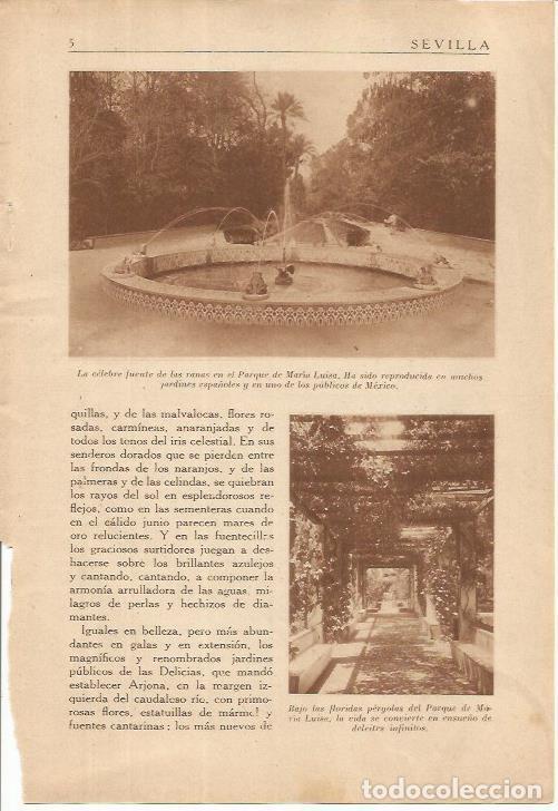 Postcards: LAMINA 25060: Fuente de las Ranas en Sevilla - J. Mu&ntilde;oz San Roman