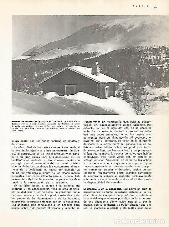 Postales: LAMINA 11151: Estacion de invierno en la region de Jamtland Suecia - Varios