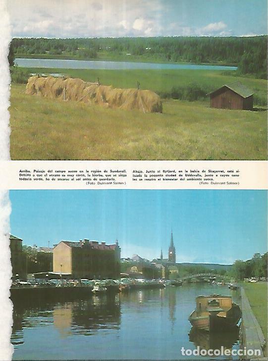 Postcards: LAMINA 11143: Paisaje de Suecia - Varios