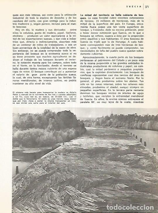 Postcards: LAMINA 11105: Madera flotando en Suecia - Varios