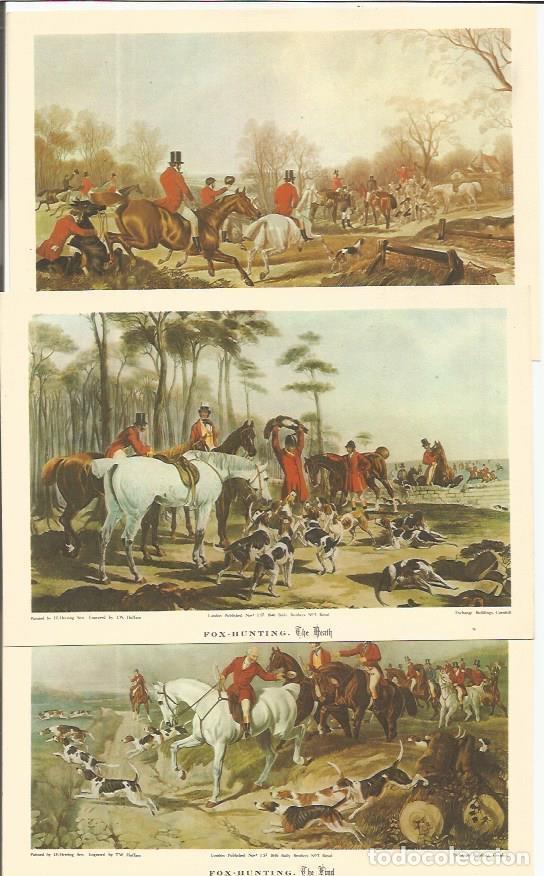 Cartoline: LAMINA 25293: Fox Hunting, por J. E. Herring - Varios