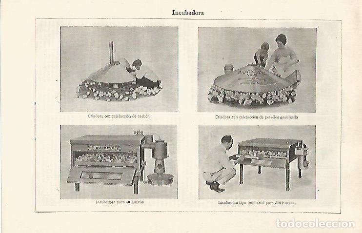 Postales: LAMINA ESPASA 30346: Tipos de incubadoras - Varios
