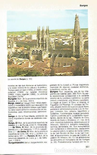 Cartoline: LAMINA 11184: Catedral de Burgos - Varios