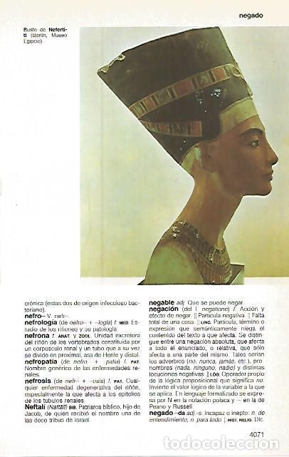 Cartoline: LAMINA 11265: Busto de Nefertiti - Varios