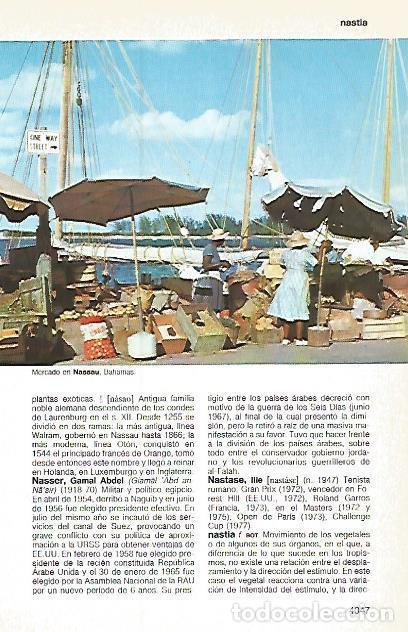 Postcards: LAMINA 11257: Mercado en Nassau Bahamas - Varios