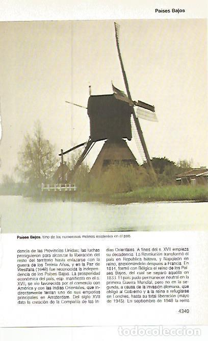 Postcards: LAMINA 11307: Molino en los Paises Bajos - Varios