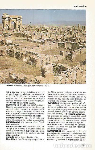 Postcards: LAMINA 11288: Ruinas de Thamugadi Argelia - Varios