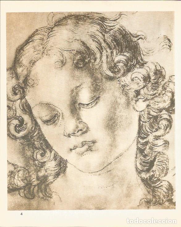 Postkarten: LAMINA 25392: Estudio para una cabeza de angel, por Verrocchio - M. Lenzini y E. Micheletti