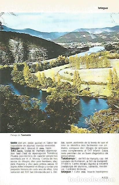 Postkarten: LAMINA 11349: paisaje de Tasmania - Varios
